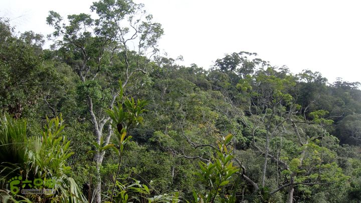 20130228-海南尖峰岭骑行DSC00281