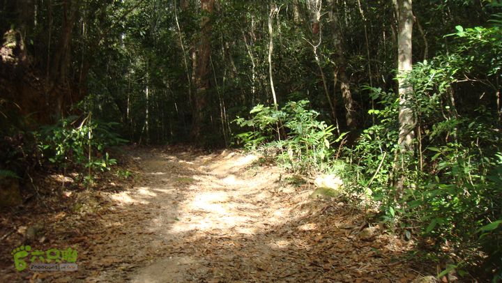 20130228-海南尖峰岭骑行DSC00287