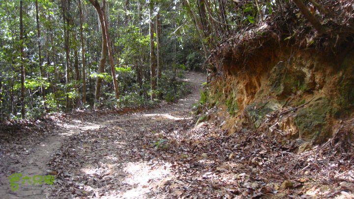 20130228-海南尖峰岭骑行DSC00288