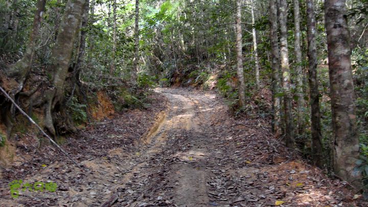 20130228-海南尖峰岭骑行DSC00289