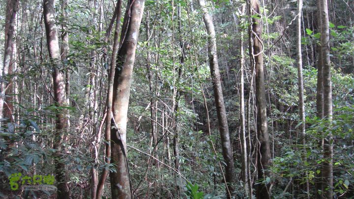 20130228-海南尖峰岭骑行DSC00290