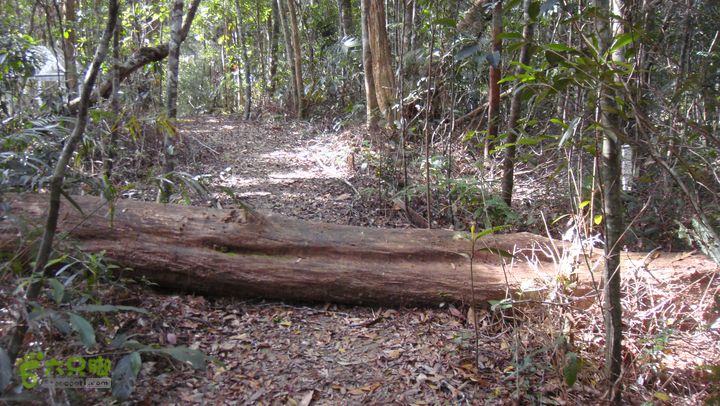 20130228-海南尖峰岭骑行DSC00297