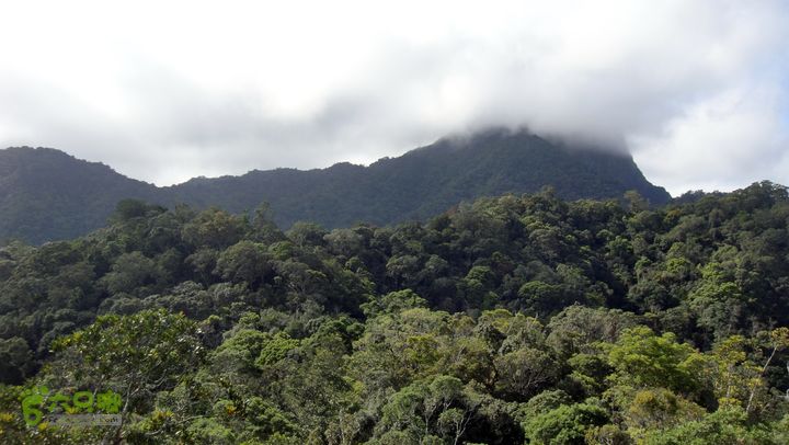 20130228-海南尖峰岭骑行DSC00303