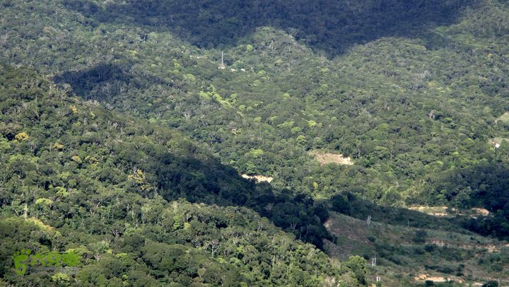 20130228-海南尖峰岭骑行DSC00309