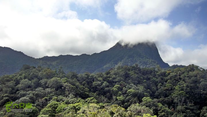 20130228-海南尖峰岭骑行DSC00322