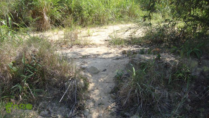 20130228-海南尖峰岭骑行DSC00352