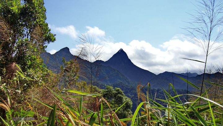 20130228-海南尖峰岭骑行DSC00357