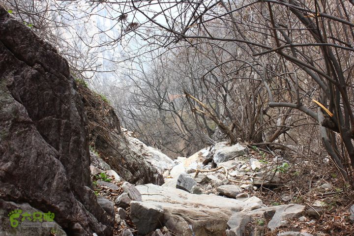嵩山十大经典登山穿越---中原第一险连天峰20130316IMG_3024