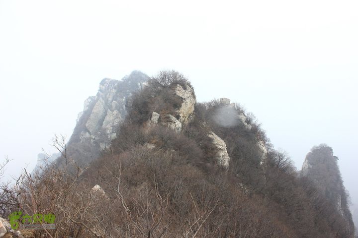 嵩山十大经典登山穿越---中原第一险连天峰20130316IMG_3121