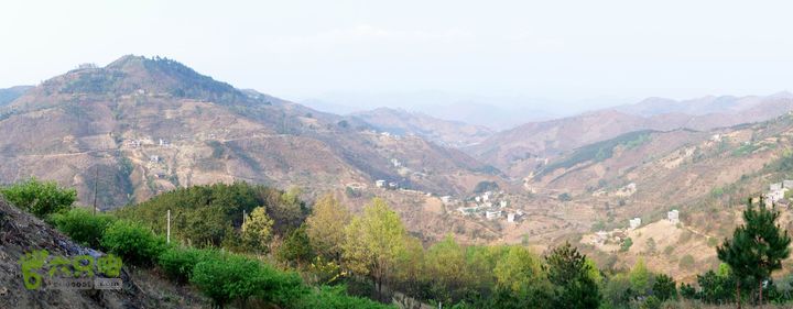 摩旅云南罗平-广西沿边公路（第二天.平果-隆林）DSCF0469