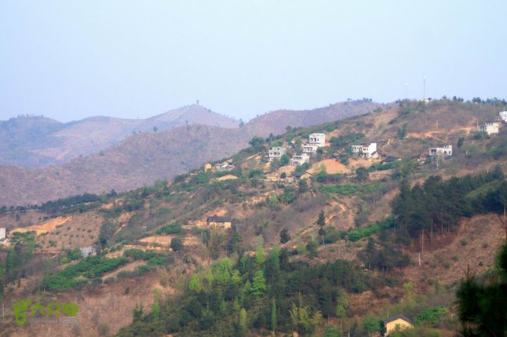 摩旅云南罗平-广西沿边公路（第二天.平果-隆林）DSCF0472