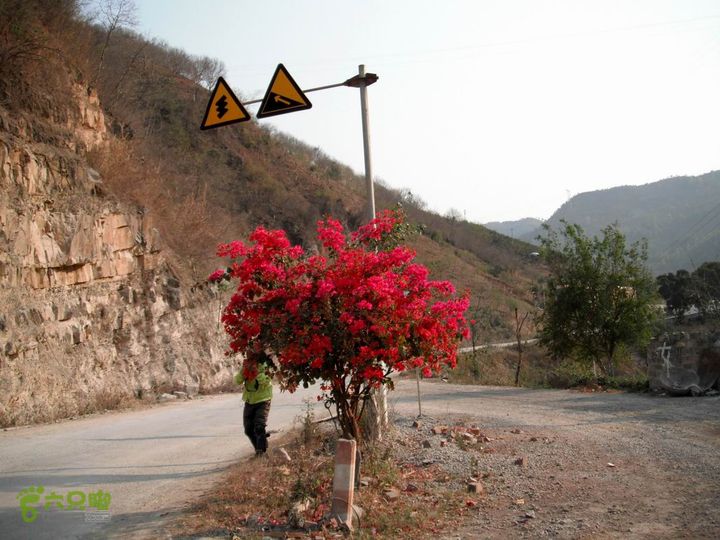 摩旅云南罗平-广西沿边公路（第二天.平果-隆林）DSCF0488