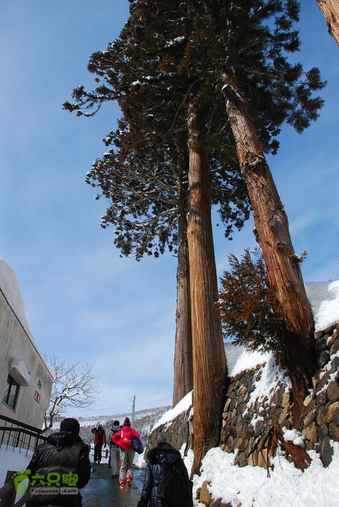 长野、轻井泽、野泽、白马滑雪之旅DSC_0403
