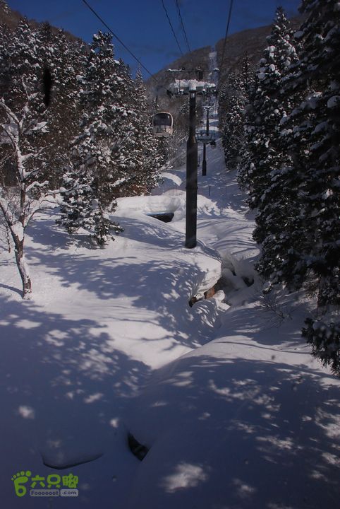 长野、轻井泽、野泽、白马滑雪之旅DSC_0447