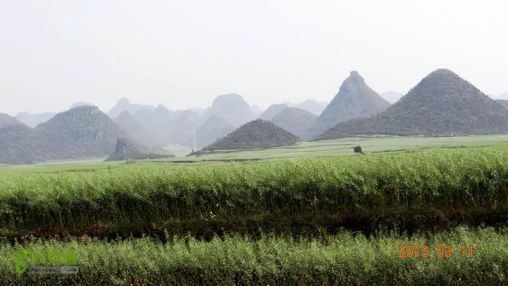 摩旅云南罗平-广西沿边公路（第三天.隆林-兴义-罗平-丘北） DSCF9945