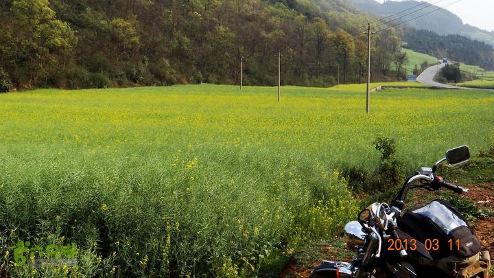 摩旅云南罗平-广西沿边公路（第三天.隆林-兴义-罗平-丘北） DSCF9948