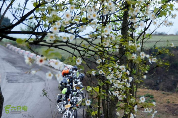 摩旅云南罗平-广西沿边公路（第三天.隆林-兴义-罗平-丘北） DSCF9959