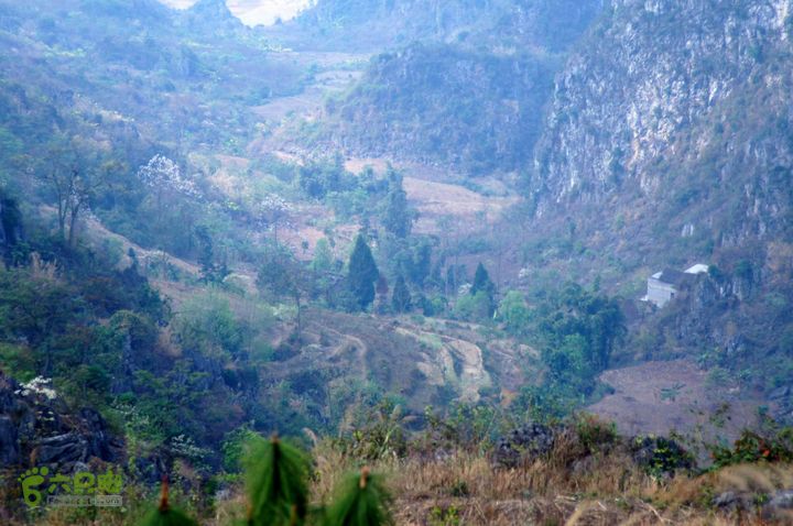 摩旅云南罗平-广西沿边公路（第三天.隆林-兴义-罗平-丘北） DSCF9964