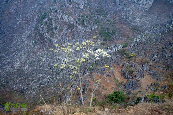 摩旅云南罗平-广西沿边公路（第三天.隆林-兴义-罗平-丘北） DSCF9966