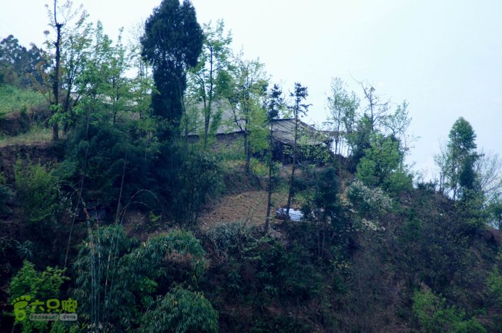 摩旅云南罗平-广西沿边公路（第三天.隆林-兴义-罗平-丘北） DSCF9967