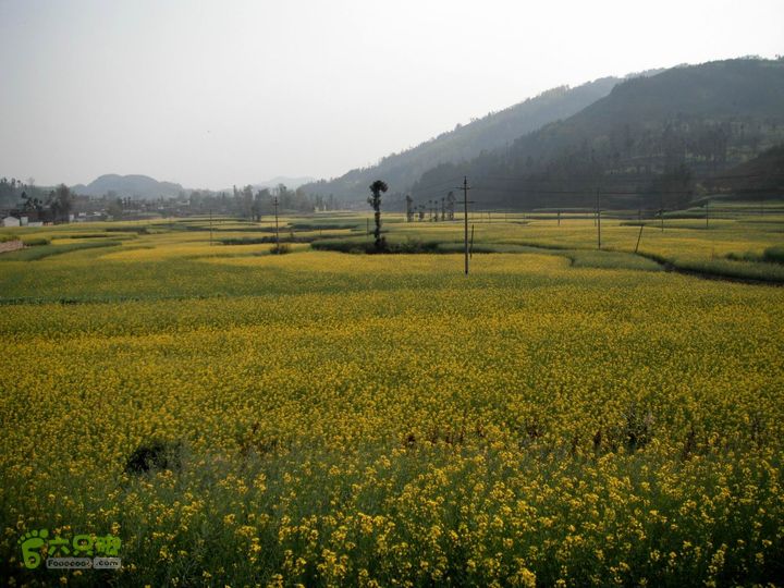 摩旅云南罗平-广西沿边公路（第三天.隆林-兴义-罗平-丘北） DSCF9988