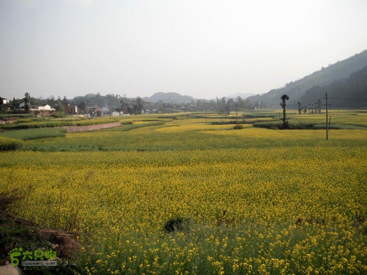 摩旅云南罗平-广西沿边公路（第三天.隆林-兴义-罗平-丘北） DSCF9990