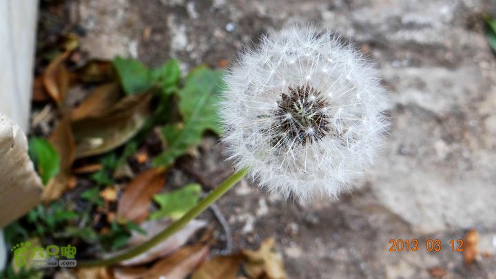 摩旅云南罗平-广西沿边公路（第四天丘北普者黑-广南县-富宁）DSC00533
