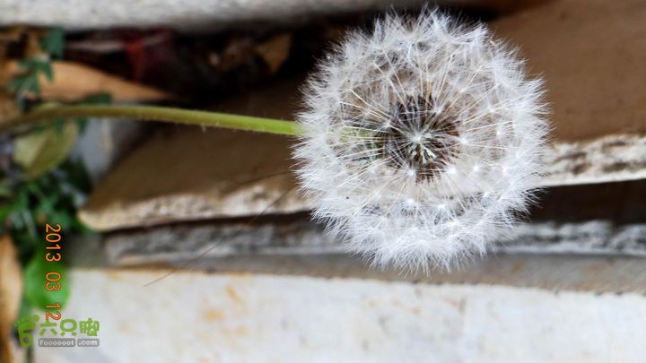 摩旅云南罗平-广西沿边公路（第四天丘北普者黑-广南县-富宁）DSC00534