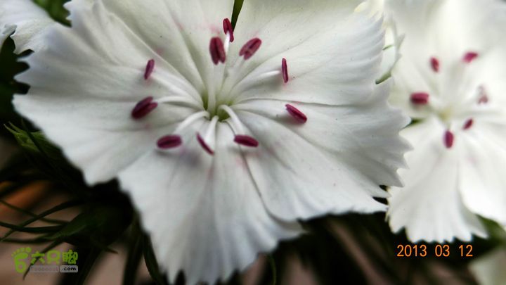 摩旅云南罗平-广西沿边公路（第四天丘北普者黑-广南县-富宁）DSC00537