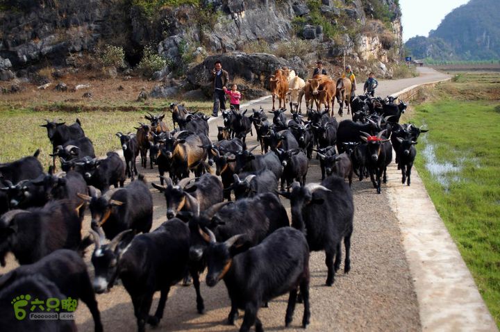 摩旅云南罗平-广西沿边公路（第四天丘北普者黑-广南县-富宁）DSC00594