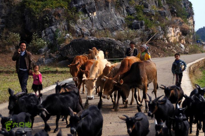摩旅云南罗平-广西沿边公路（第四天丘北普者黑-广南县-富宁）DSC00595