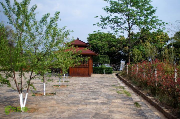 摩旅云南罗平-广西沿边公路（第四天丘北普者黑-广南县-富宁）DSC00606