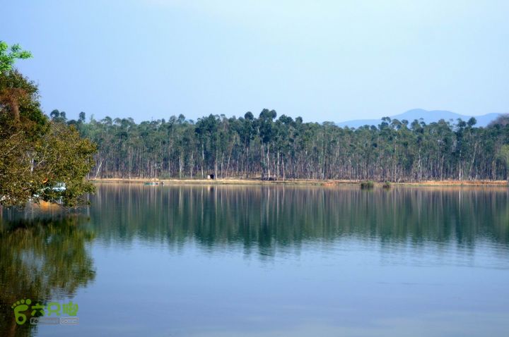 摩旅云南罗平-广西沿边公路（第四天丘北普者黑-广南县-富宁）DSC00611