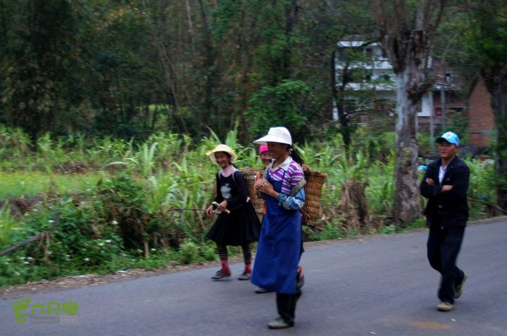 摩旅云南罗平-广西沿边公路（第四天丘北普者黑-广南县-富宁）DSC00626