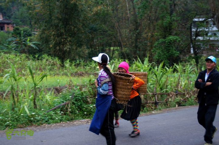 摩旅云南罗平-广西沿边公路（第四天丘北普者黑-广南县-富宁）DSC00627