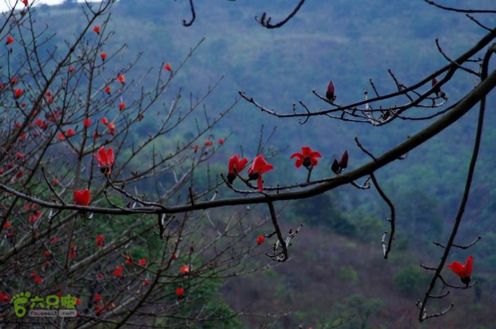 摩旅云南罗平-广西沿边公路（第四天丘北普者黑-广南县-富宁）DSC00628