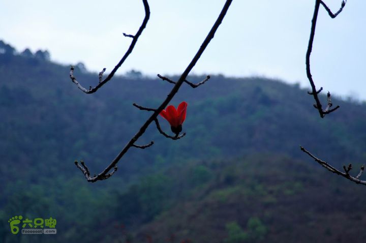 摩旅云南罗平-广西沿边公路（第四天丘北普者黑-广南县-富宁）DSC00629