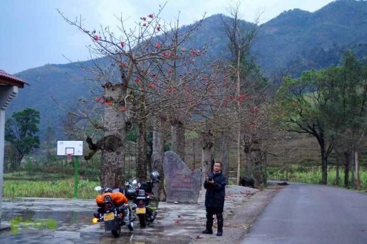 摩旅云南罗平-广西沿边公路（第四天丘北普者黑-广南县-富宁）DSC00630