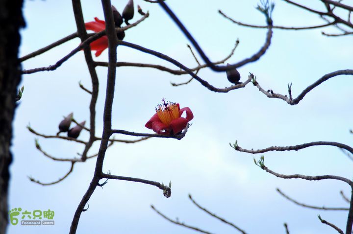 摩旅云南罗平-广西沿边公路（第四天丘北普者黑-广南县-富宁）DSC00634