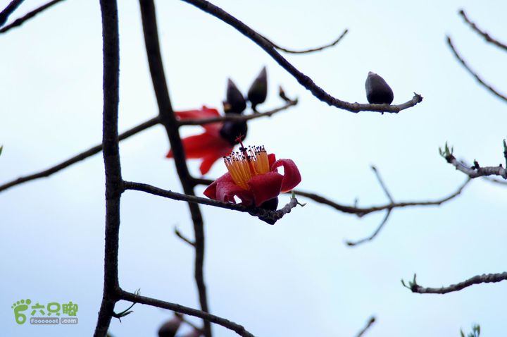 摩旅云南罗平-广西沿边公路（第四天丘北普者黑-广南县-富宁）DSC00635
