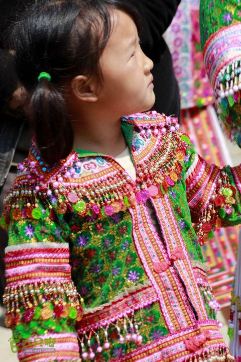 摩旅云南罗平-广西沿边公路（第五天.富宁-靖西）_MG_7550