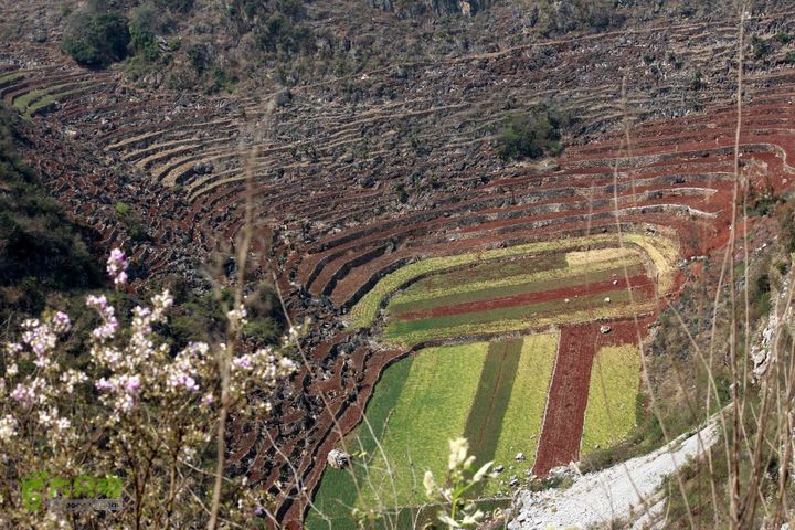摩旅云南罗平-广西沿边公路（第四天丘北普者黑-广南县-富宁）_MG_7246