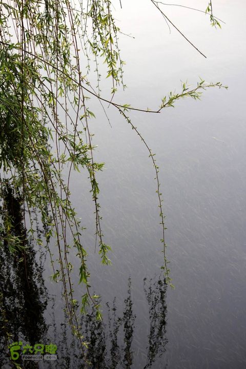 摩旅云南罗平-广西沿边公路（第四天丘北普者黑-广南县-富宁）_MG_7273