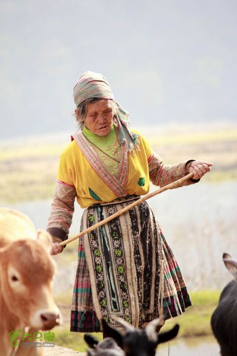 摩旅云南罗平-广西沿边公路（第四天丘北普者黑-广南县-富宁）_MG_7275