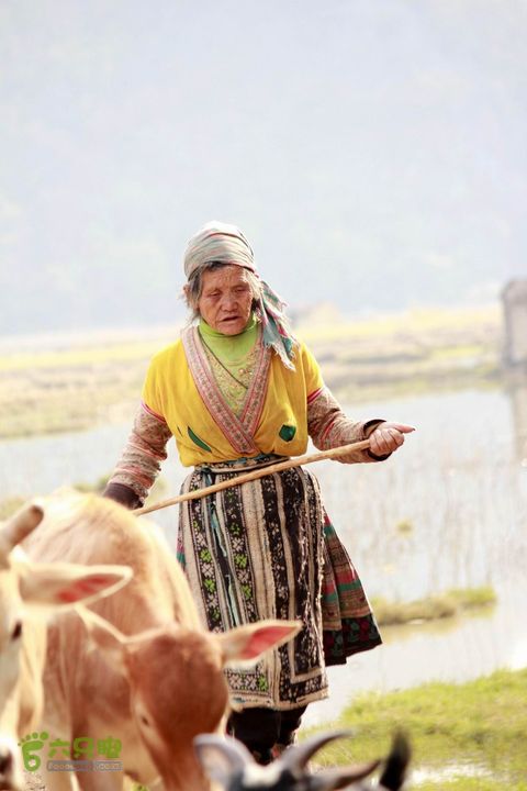 摩旅云南罗平-广西沿边公路（第四天丘北普者黑-广南县-富宁）_MG_7276