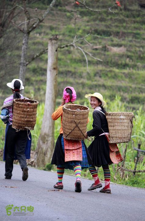 摩旅云南罗平-广西沿边公路（第四天丘北普者黑-广南县-富宁）_MG_7281