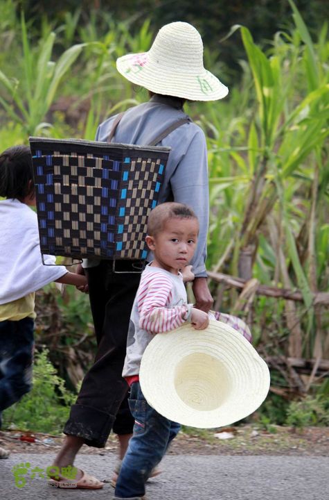 摩旅云南罗平-广西沿边公路（第四天丘北普者黑-广南县-富宁）_MG_7282