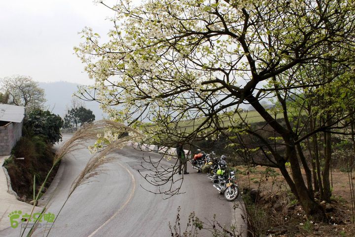 摩旅云南罗平-广西沿边公路（第三天.隆林-兴义-罗平-丘北） _MG_7130