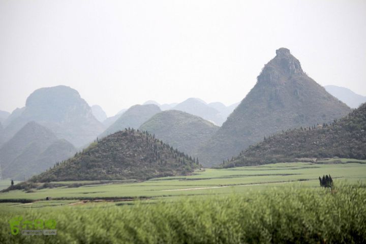 摩旅云南罗平-广西沿边公路（第三天.隆林-兴义-罗平-丘北） _MG_7141