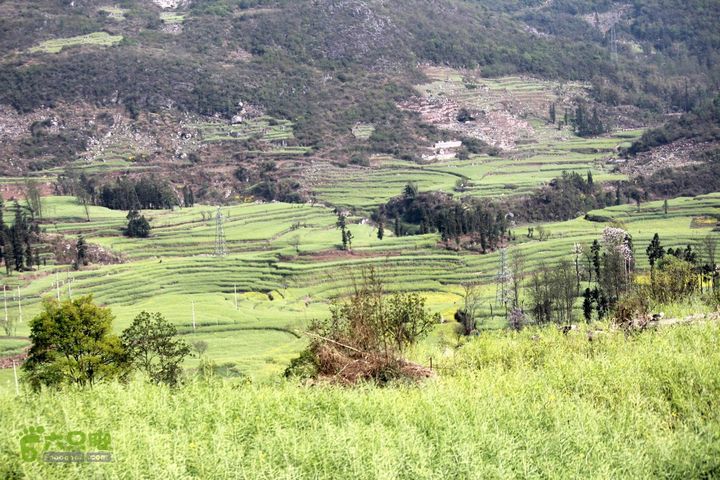 摩旅云南罗平-广西沿边公路（第三天.隆林-兴义-罗平-丘北） _MG_7144